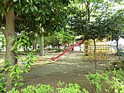 新井東公園まで約394m