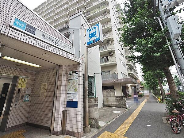 周辺を拡大表示