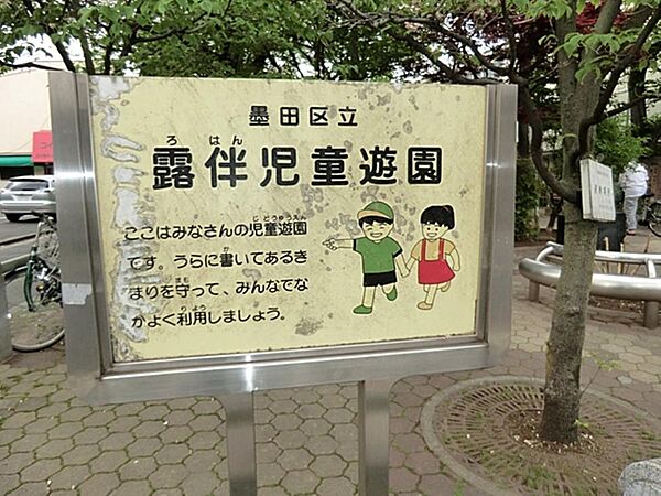周辺を拡大表示