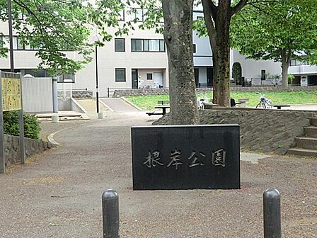 根岸公園まで約303m
