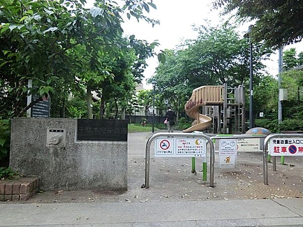 周辺を拡大表示