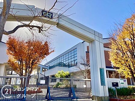 神戸市立向洋中学校 徒歩7分。 490m