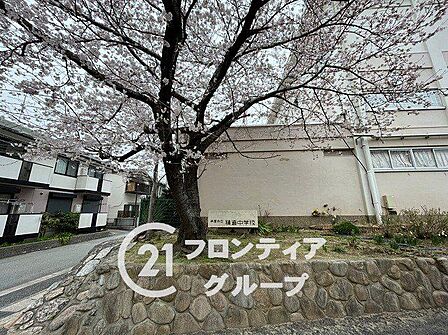 芦屋市立精道中学校 徒歩12分。 1060m