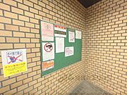 掲示板