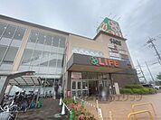 ライフ　八戸ノ里店まで350メートル