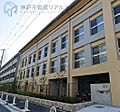 芦屋市立精道中...