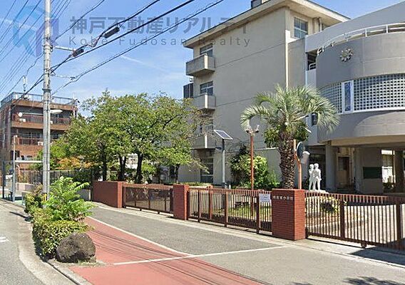 西宮市立鳴尾東...