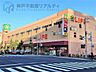 周辺：ライフ本山店 徒歩9分。 710m