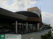 ホーマック 1000m