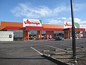マルヤ大袋店 562m