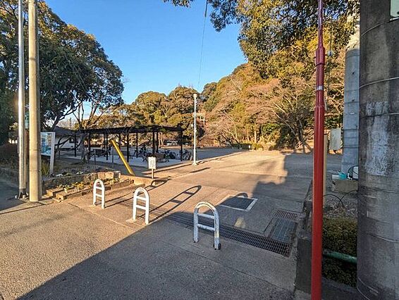 清水山公園 5...