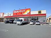 ツルハドラッグ 手稲星置店 1390m