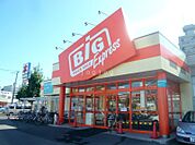 ザ・ビッグエクスプレス平岸店 535m