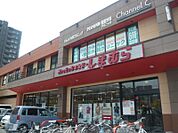 ファッションセンターしまむら豊平店 146m