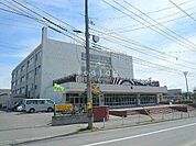 平岸高台小学校 1123m