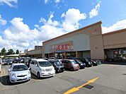 スーパーアークス菊水店 341m