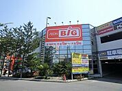 ザ・ビッグ豊平店 505m