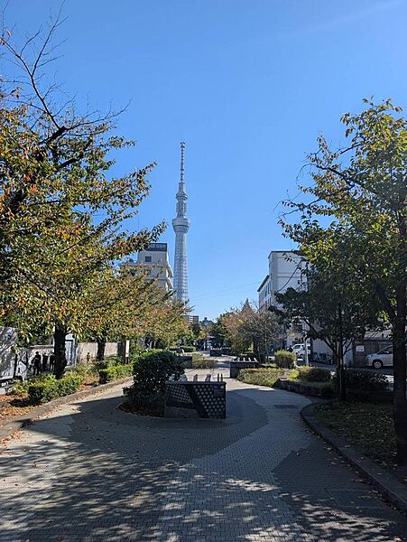 周辺を拡大表示