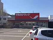 ツルハドラッグ南16条店 742m