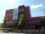 札幌市立札幌大通高校 454m