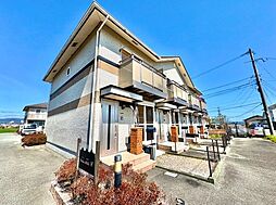 Palm Hills（パームヒルズ）