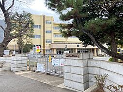 【小学校】柏市立柏第三小学校まで682ｍ