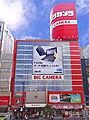 ビックカメラ池...