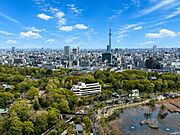 住戸からの眺望。窓の外に広がる大きく開けた眺望は、日々の暮らしの中に喜びを感じさせてくれ、心まで開放的にしてくれそうです。