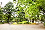 松戸中央公園 徒歩18分。 1410m