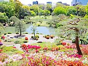 六義園 徒歩4分。 320m