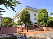 葛飾区立新小岩中学校 徒歩13分。 990m
