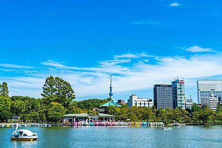 東京都上野恩賜公園 徒歩13分。 980m