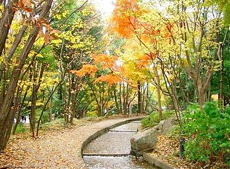 滝野川公園 徒歩18分。 1390m