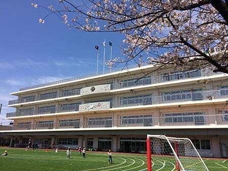 足立区立鹿浜五色桜小学校 徒歩4分。 260m