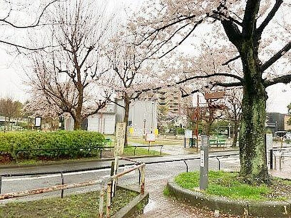 周辺を拡大表示