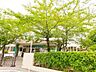 周辺：葛飾区立宝木塚小学校 徒歩7分。 510m