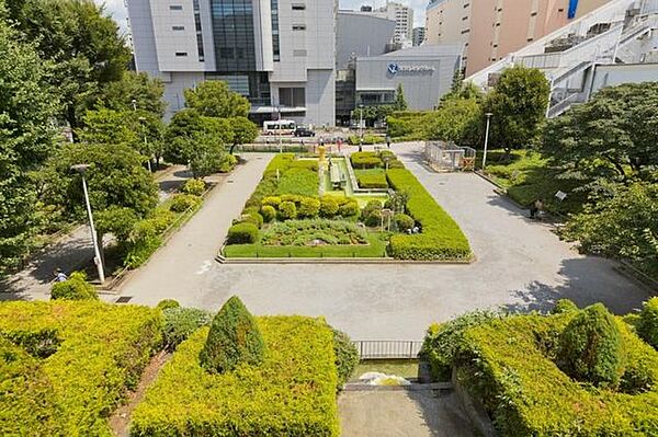 周辺を拡大表示