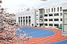 周辺：文京区立第八中学校 徒歩12分。 900m