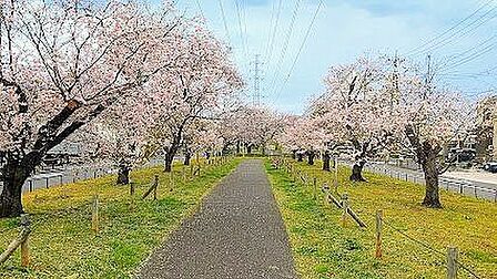 江北北部緑道公園 徒歩23分。 1820m