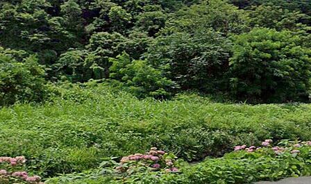裾花緑地 徒歩29分。 2000m