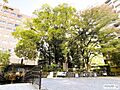 北大阪急行　緑...