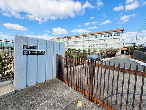 周辺を拡大表示