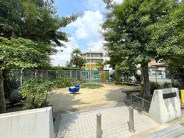 周辺を拡大表示