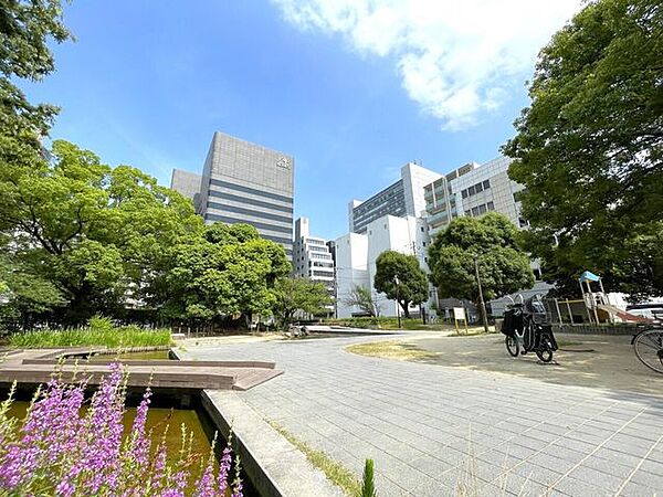 周辺を拡大表示