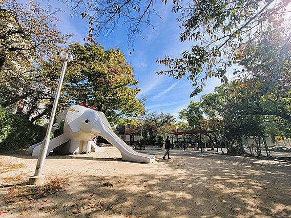 桜塚公園 49...