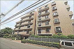 朝日パリオ西武柳沢