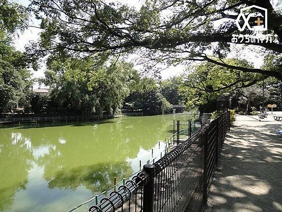 武蔵関公園 徒...