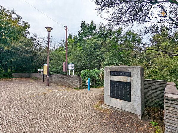 周辺を拡大表示