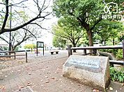 新座駅南口公園 徒歩13分。石組みの水辺がある公園。秋になると紅葉がとてもきれいなので、その中でピクニックをするのも風情があって良さそうですね！ 春にはお花見をしても素敵でしょう。きっと癒されること…