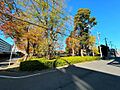 中山西公園 徒...
